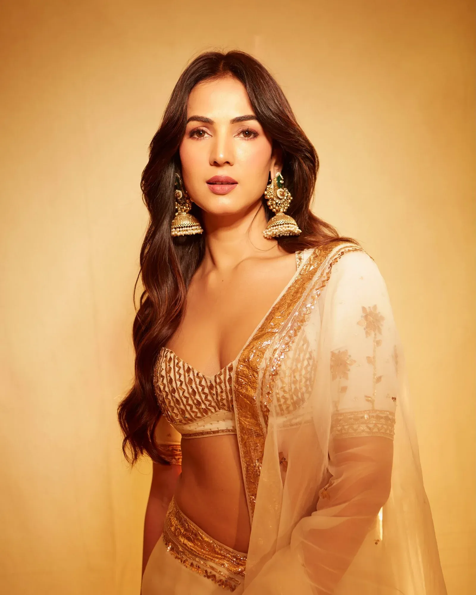 Sonal Chauhan Movies