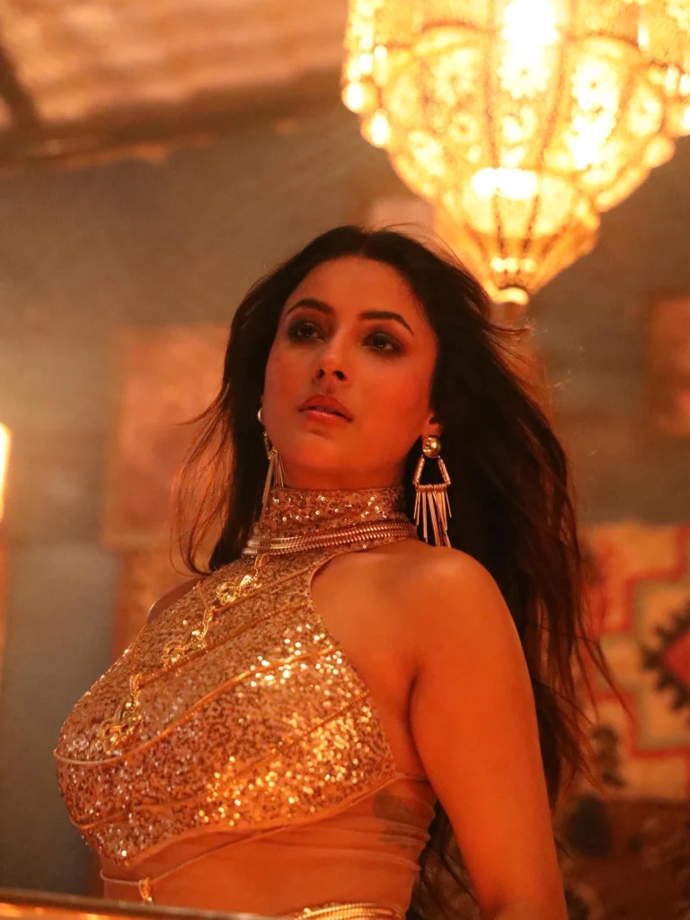 shehnaaz gill movies and tv shows